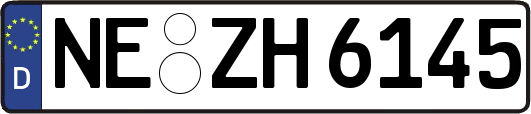 NE-ZH6145