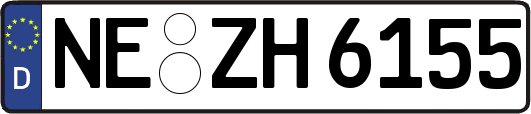 NE-ZH6155