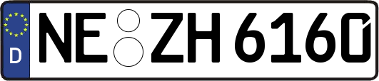 NE-ZH6160
