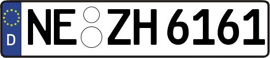 NE-ZH6161