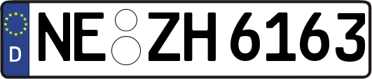 NE-ZH6163