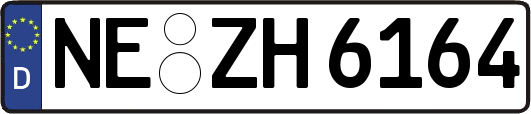 NE-ZH6164