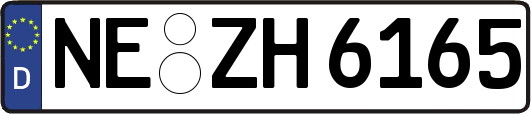 NE-ZH6165