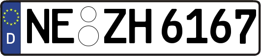 NE-ZH6167