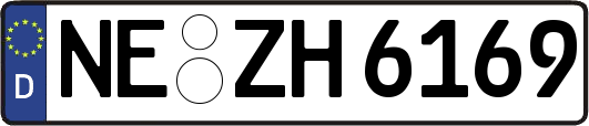 NE-ZH6169