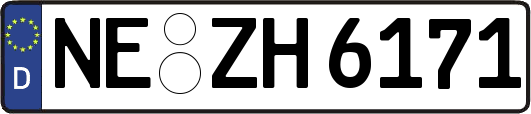 NE-ZH6171