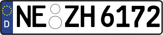 NE-ZH6172
