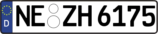 NE-ZH6175
