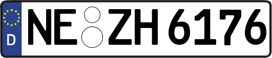 NE-ZH6176