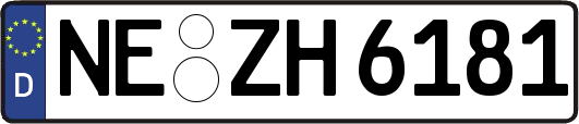NE-ZH6181
