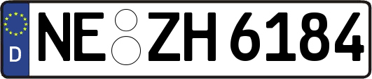 NE-ZH6184