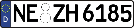 NE-ZH6185