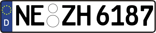 NE-ZH6187