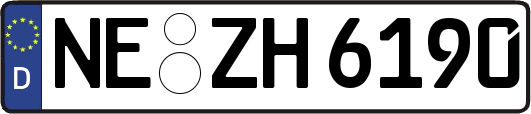 NE-ZH6190