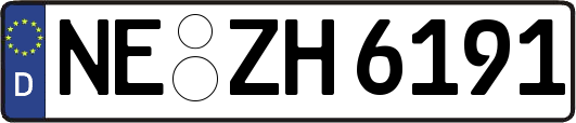 NE-ZH6191