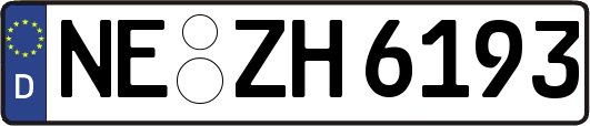 NE-ZH6193