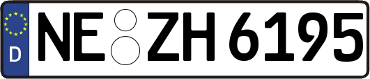 NE-ZH6195