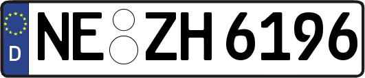 NE-ZH6196