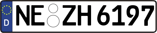NE-ZH6197
