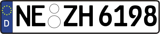 NE-ZH6198