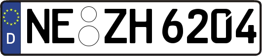 NE-ZH6204