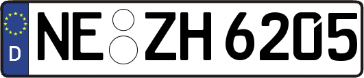NE-ZH6205