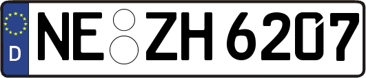 NE-ZH6207
