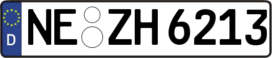 NE-ZH6213