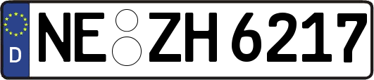 NE-ZH6217