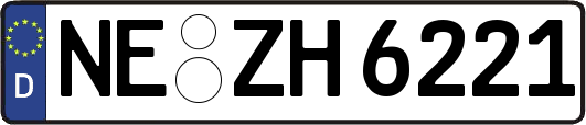 NE-ZH6221