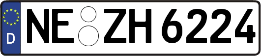 NE-ZH6224