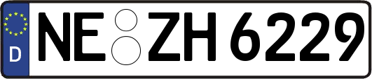 NE-ZH6229