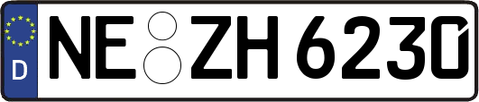 NE-ZH6230