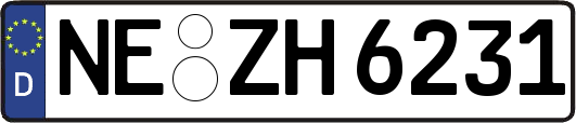 NE-ZH6231