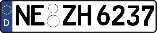 NE-ZH6237