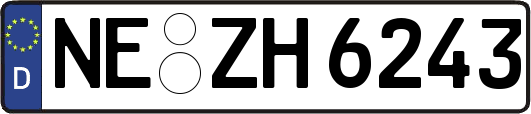 NE-ZH6243