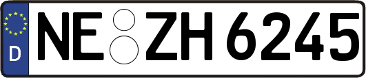 NE-ZH6245