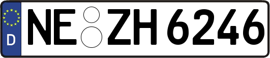 NE-ZH6246