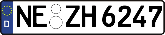 NE-ZH6247