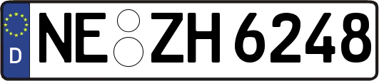 NE-ZH6248