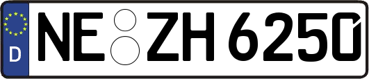 NE-ZH6250
