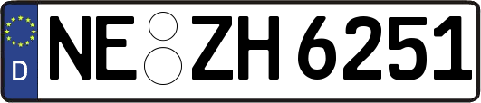 NE-ZH6251