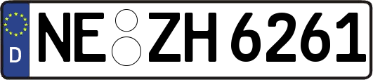 NE-ZH6261
