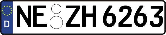 NE-ZH6263