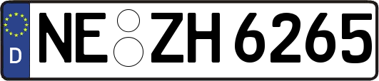 NE-ZH6265