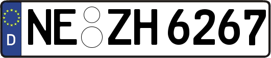 NE-ZH6267