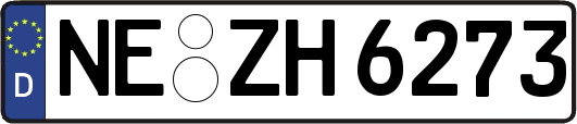 NE-ZH6273