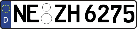 NE-ZH6275