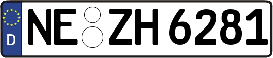 NE-ZH6281