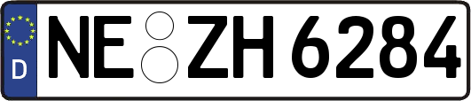 NE-ZH6284